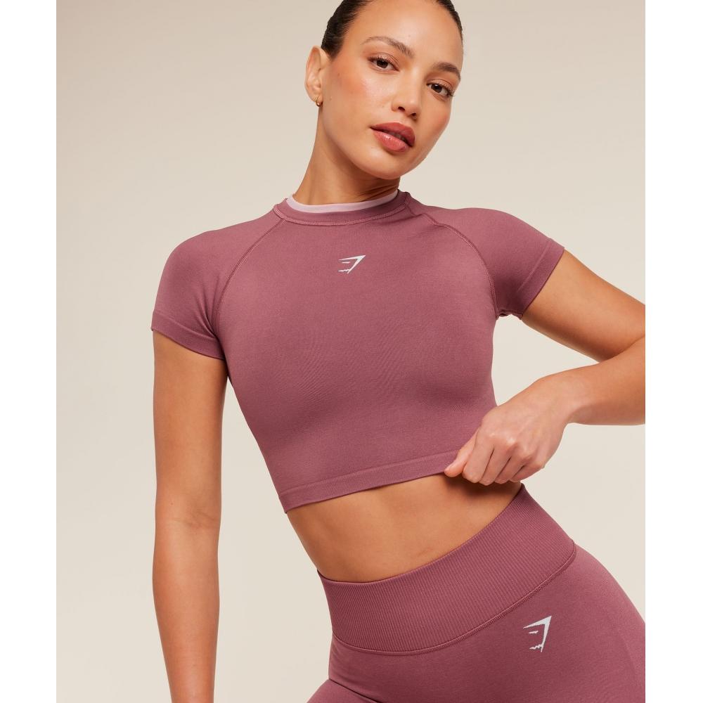 Gymshark Interval Seamless Short Sleeve Crop Top Reset Pink Light Pink B6b1k Kd 