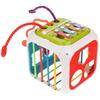 Educational Sensory Cube Sorter Blocks 7 In 1