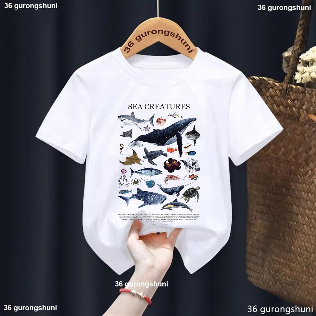 Types of Shark Identification Cartoon Print Tshirt Boys Kawaii Kids Clothes Cute TShirt ChildrenS Clothes Summer Toddler Tee