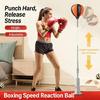 Professional Boxing Training Equipment With Quick Return For Exercise Enthusiasts