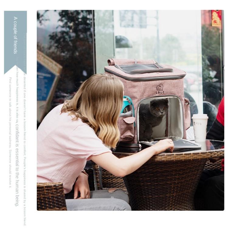 Tašky na přenášení koček Prodyšné otvory Skládací cestovní taška na zvířata pro kočky a malé psy Taška s dvojitými dveřmi