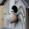 Little Bird Wood Carving Bird Pearl Neck Turtledove Wild Dove Handmade Wooden Ornaments Home Decor Table Decoration Accessories