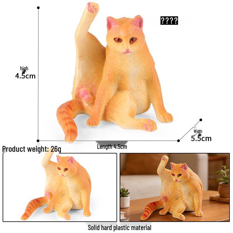 Solid Orange Persian, Ragdoll, Somali, and Blue Short-haired Cat Simulation Models