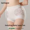 Tingmei High-Waist Tummy Control Butt-Lift Lace Briefs