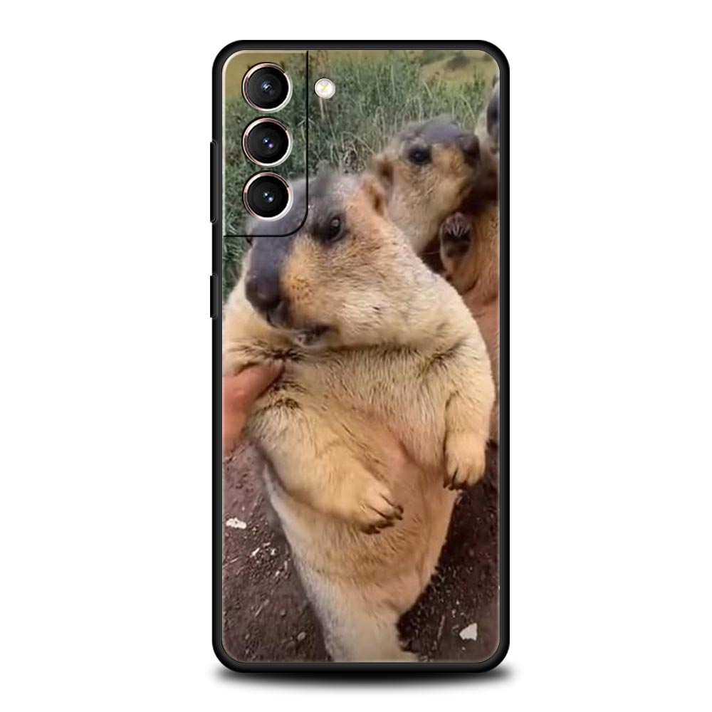 

marmot Soft Phone Case For Samsung Galaxy S25 Edge S24 Plus S23 FE S22 S21 S20 Ultra 5G S10 Black Protect Cover Samsung S21