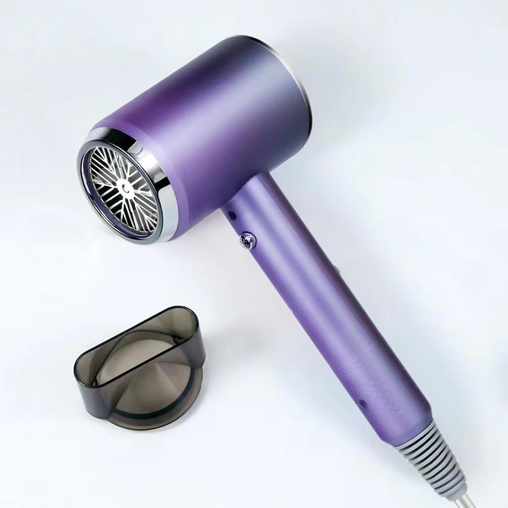 High-Power Hair Dryer with Ion Care and Hot/Cold Settings