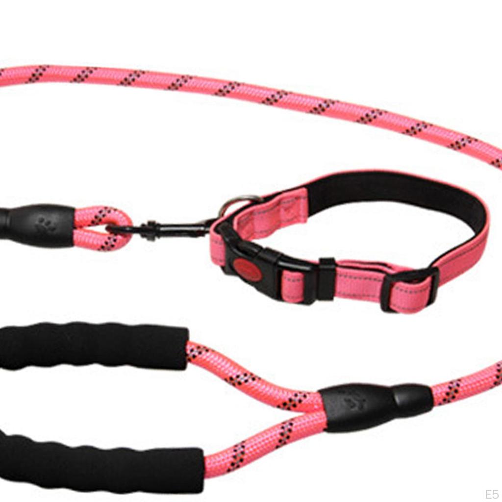 Dog Leash for
