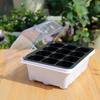 Cells Seedling Trays with Cover Greenhouse Plant Germination Box Seed Starting Pots for Gardening and Agriculture