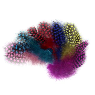 Plumes de guinée colorées, 50 pièces/paquet, pour attacher des mouches, colliers de hackle en pointillés, étuis à ailes et joues, Tube, matériel d'attache de mouche