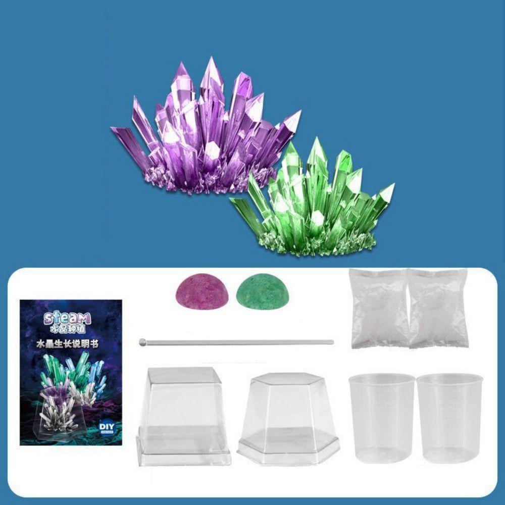 Display Cases Crystal Growing Kit Grow a Crystal Vibrant Colored Crystals DIY Educational Science Toys Mold Shapes