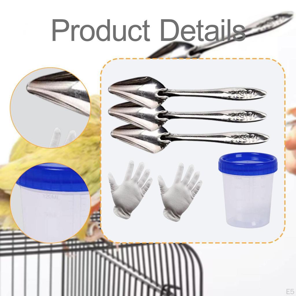 Bird Feeder Spoon Hand Tool Accessory, Portable Metal, Sturdy Professional, Practical Premium