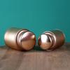Elegant Tea Storage Container Tea Coffee Tins Capacity for Keeping Dry Storing Loose Tea Leaves Kitchen Office Home Use