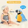 Plush Moves Your Voice Repeat Imitates Voice Gift Parrot Toys Talking Birds Fun Toys