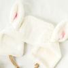 Daiso Rabbit Bundled Earmuffs