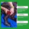Advanced Dog Joint Health Formula 80 Tablets Joint Relief for Senior Dogs Active Pet Joint Caring Nutrition Tablets