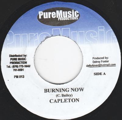 7inch Record CAPLETON / MR. MURPHY - Burning Now / Stamina And Energy PM013 Pure Music Prod 2001 Jamaica Reggae, Ska & Dub Used