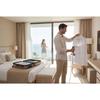 Clothes Steamer , Steam Iron Berdsen