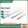 Stainless Steel Bird Spikes for Balcony: Deterrent for Pigeons and Cats