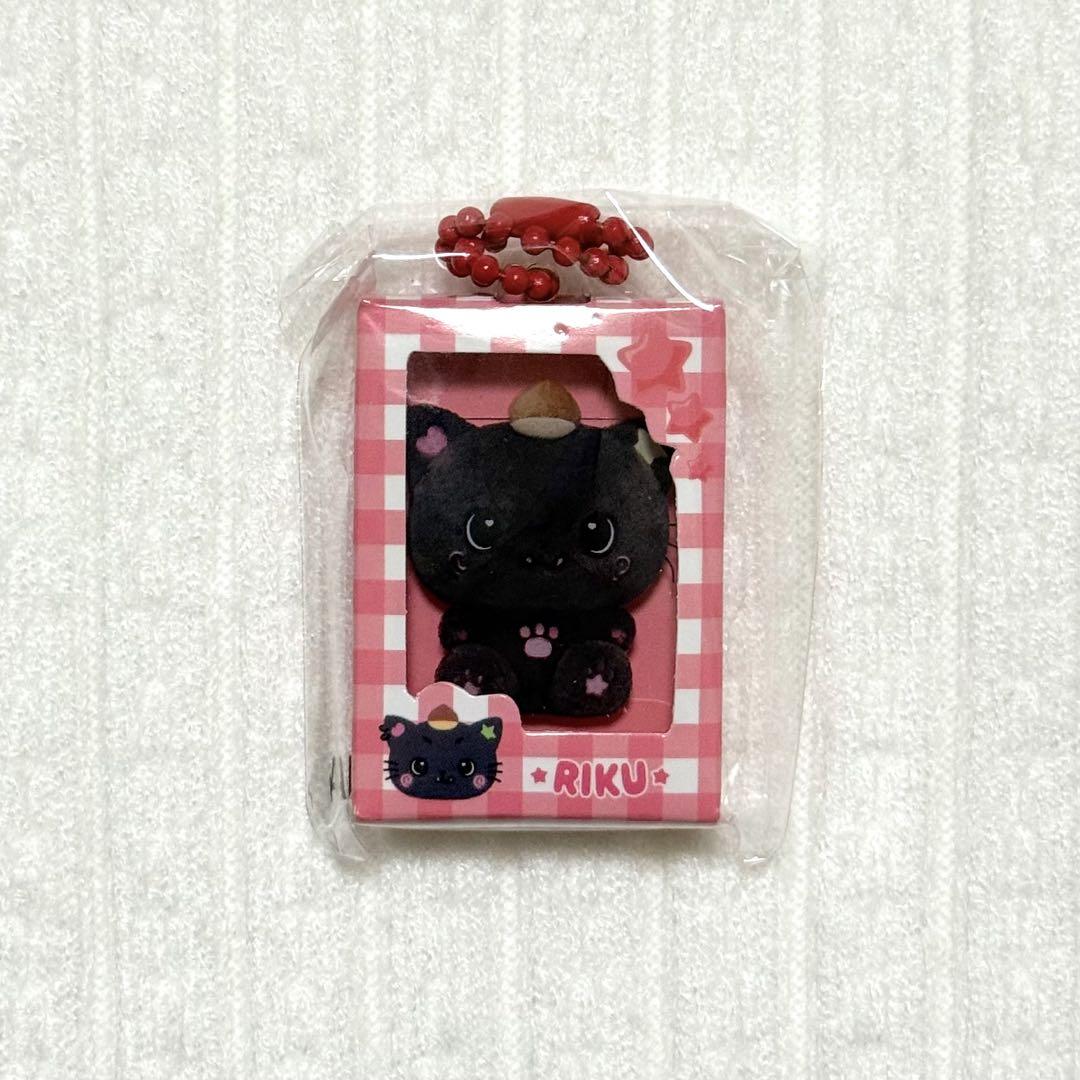 

[USED] NCTWISH COLOR POPUP Gacha Keychain Riku Kuri