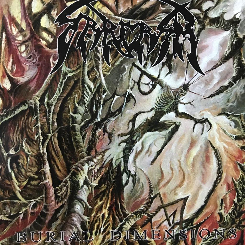 [USED] SARCASM / BURIAL DIMENTIONS