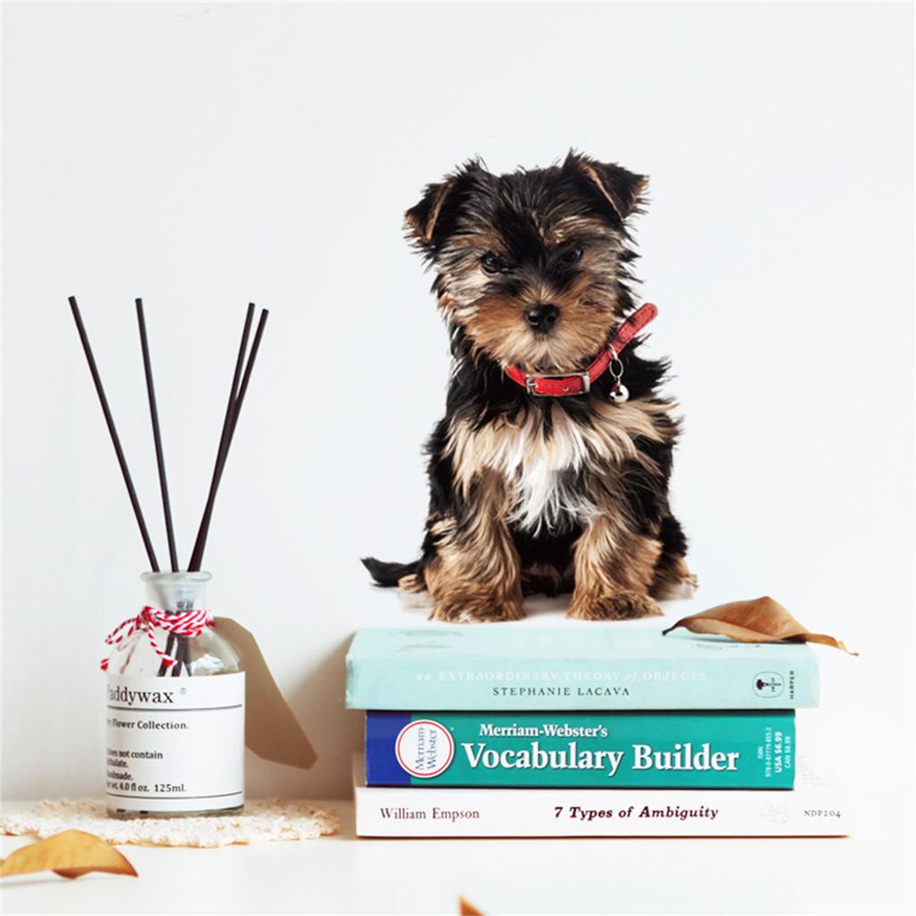 Sausage Dog Wall Sticker Toilet Stickers Huskied Shepherd Terrier Dog Bathroom For Home Decor Animals Vinyl Decals Art Wallpaper