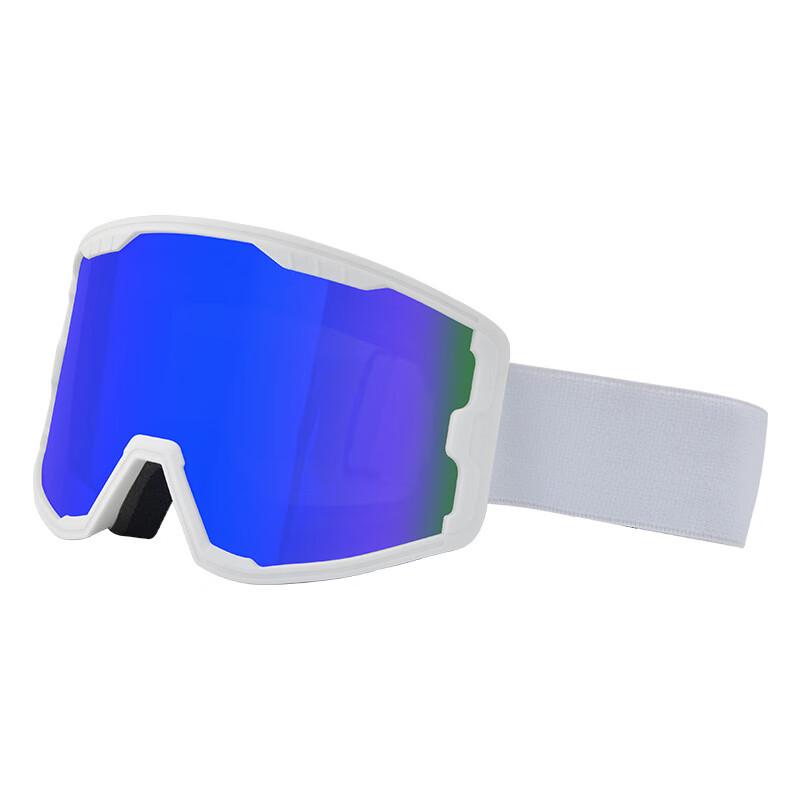 Anti-Fog Double-Layer Ski Goggles