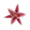 Realistic Lily Flower Hair Claw Clip with Strong Grip Design Resin Flower Hair Clamp Ponytail Holder For Formal Event