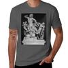 Laocoon Ancient Greek Statue Tshirt High Elasticity Sports Tshirt