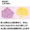 Pentel Crayon PTCR-16 16 color set with usage guide