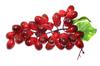 Speed mao Realistic Grape Bunch Food Sample Model Set of 3