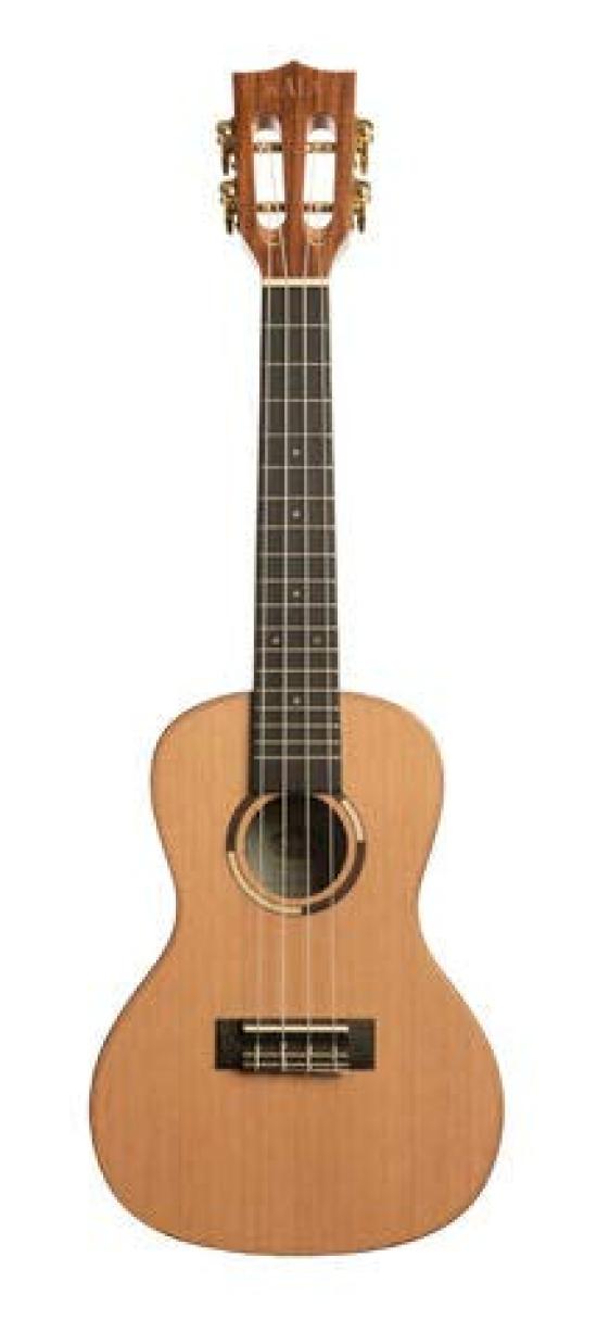 

KALA Верх из массива кедра, корпус из массива пау ферро, концертное укулеле, кейс KA-ASCP-C (Включая полутвердые)