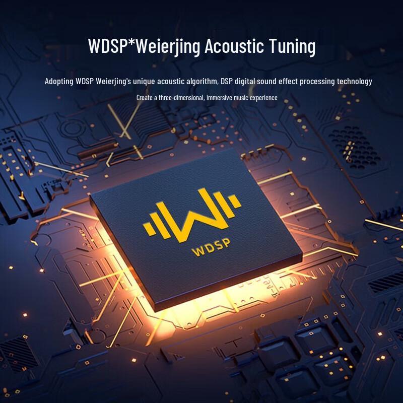 W-King K21SE 120W Portable Karaoke Speaker CN Plug (adapter Included)