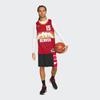 Nike Retro Basketball Jersey, Fan Edition, Denver Nuggets, Nikola Jokic No. 15 Men Tops Crimson CN1725-615