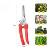 Beskjæringssaks Hagesaks Hage Albue Rett Hode Hage Plukking Fruktsaks Fjær Håndverktøy