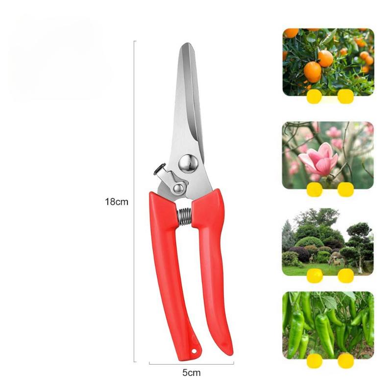 Beskjæringssaks Hagesaks Hage Albue Rett Hode Hage Plukking Fruktsaks Fjær Håndverktøy