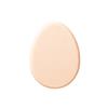 Foundation Sponge N