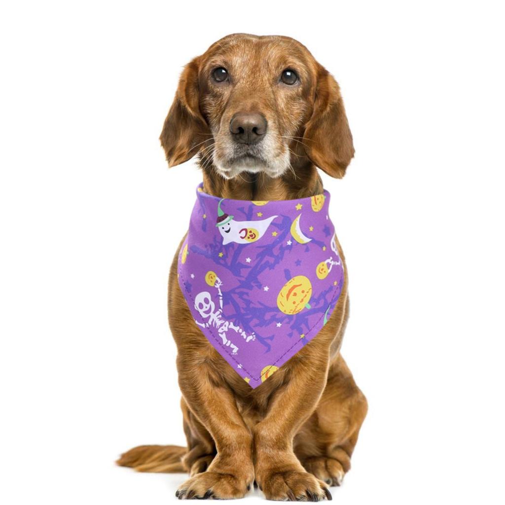 Halloweenský duch mazlíček bandana roztomilý a všestranný kočka a pes mazlíček bryndák