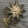 Insigna Edelweiss Armatei Germane 2w II Insignă Lapel Trupe Montane Germane Broșă Edelweiss Insignă Decorativă pentru Femei Bărbați