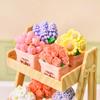 Ev Dekoru – Dekoratif Terraryumlar