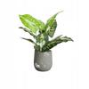 Artificial Plant Flower In A Pot For Home Office Realistic 40Cm Alocasia