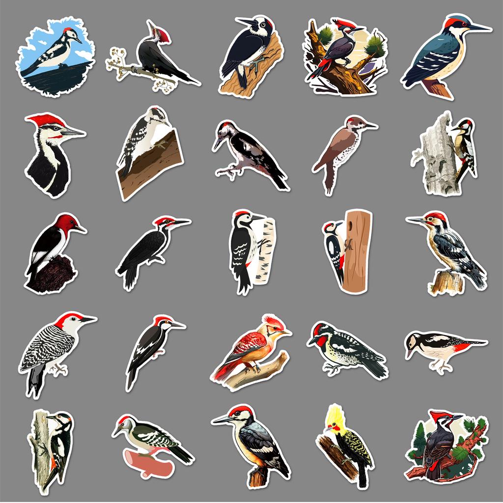 50 Woodpecker Graffiti Stickers Personalized Cartoon Animals Birds Decorative Water Cup Computer Mobile Phone Case Stickers
