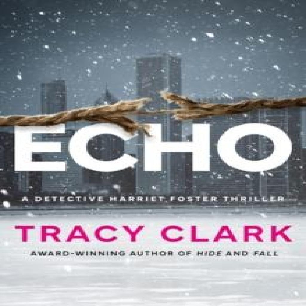 Echo by Tracy Clark Paperback Book 9781662517327