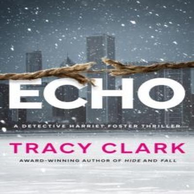 Echo by Tracy Clark Paperback Book 9781662517327