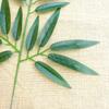 Artificial Bamboo Leaves and Branches for Landscape Decoration - Small Plastic Green Foliage