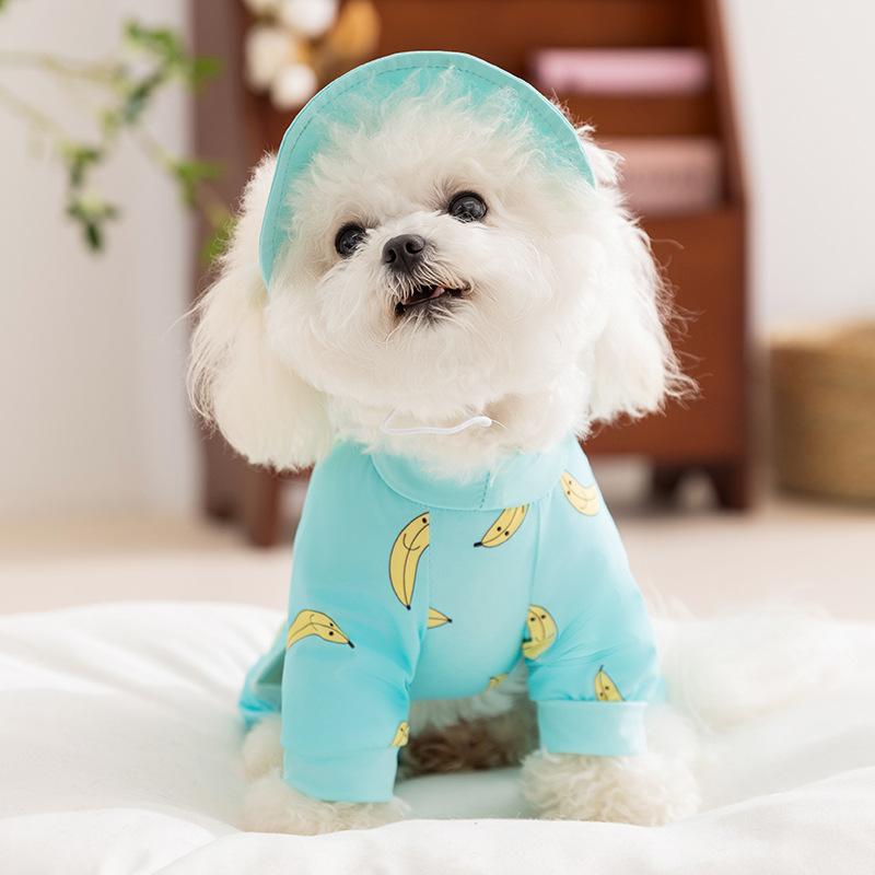 

Fruit full print four-legged dog going out sunscreen cooling cool clothes spring and summer thin pet dog dog clothes XXL (recommended weight 15-10kg)