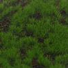 Simulation Moss Turf Lawn Green Plants Diy Artificial Garden Landscape Decor