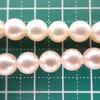 [Used] Akoya Pearl/Pearl Silver 7.0-7.5mm Pearl Necklace/j19-34