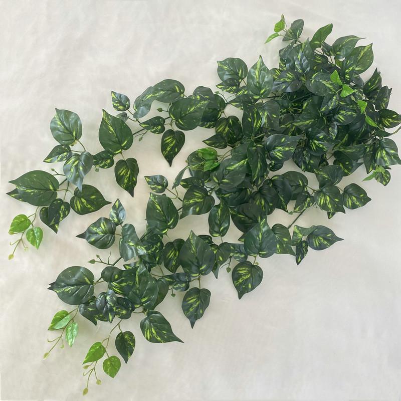 Green Plant Wall Hanging With 9fork Green Ivy For Wedding Decor And Photography Props