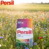 Persil Poeder voor Gekleurde Stoffen 66 Wasbeurten 10Kg
