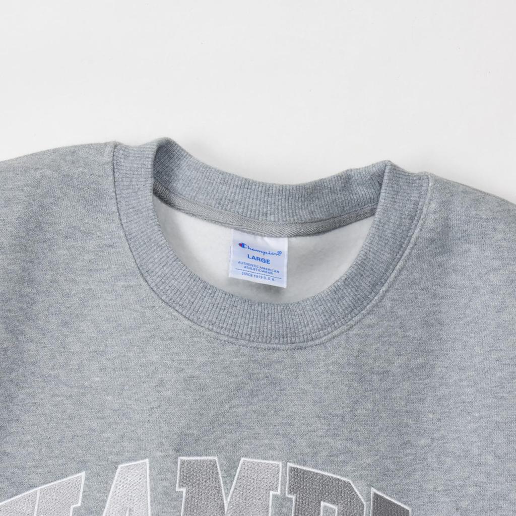 Champion ACTION STYLE Long Sleeve Crew Neck Sweatshirt with Embroidered and Chenille Oxford Gray C3-A030 Men's Patches,